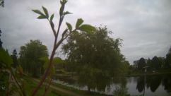 Rosarium Webcam