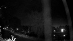 Rosarium Webcam