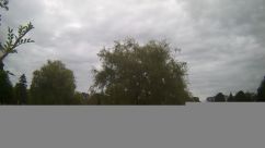 Rosarium Webcam