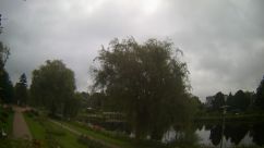 Rosarium Webcam