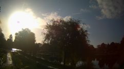 Rosarium Webcam