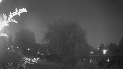 Rosarium Webcam