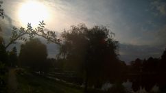 Rosarium Webcam