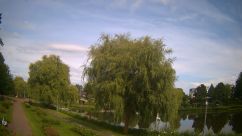 Rosarium Webcam