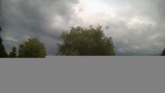 Rosarium Webcam