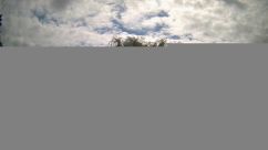 Rosarium Webcam