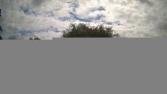 Rosarium Webcam
