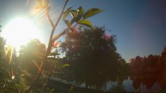 Rosarium Webcam