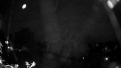 Rosarium Webcam