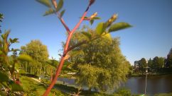 Rosarium Webcam