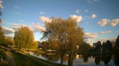 Rosarium Webcam