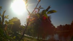 Rosarium Webcam