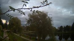 Rosarium Webcam