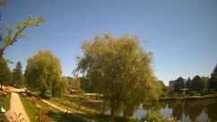 Rosarium Webcam
