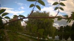 Rosarium Webcam
