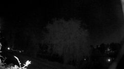 Rosarium Webcam