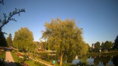 Rosarium Webcam