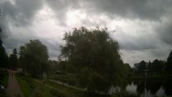 Rosarium Webcam