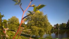 Rosarium Webcam