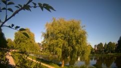 Rosarium Webcam