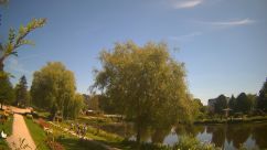 Rosarium Webcam