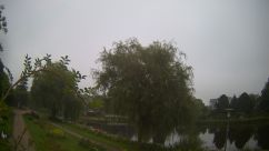 Rosarium Webcam