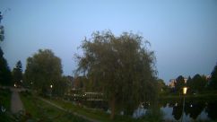 Rosarium Webcam