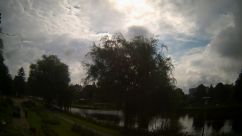 Rosarium Webcam