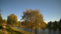 Rosarium Webcam
