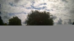 Rosarium Webcam