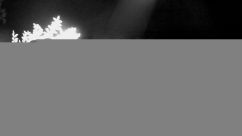 Rosarium Webcam