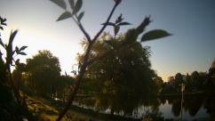 Rosarium Webcam