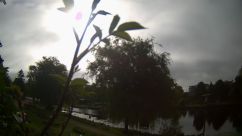 Rosarium Webcam