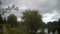 Rosarium Webcam