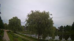 Rosarium Webcam