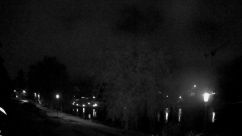 Rosarium Webcam