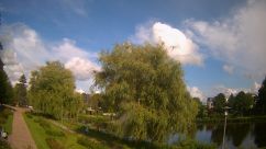 Rosarium Webcam