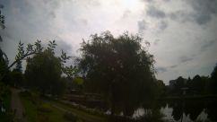 Rosarium Webcam