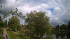Rosarium Webcam