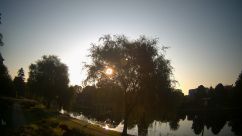 Rosarium Webcam