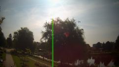 Rosarium Webcam