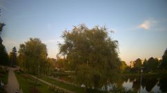 Rosarium Webcam