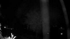 Rosarium Webcam