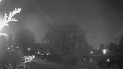 Rosarium Webcam