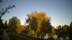 Rosarium Webcam