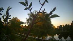 Rosarium Webcam