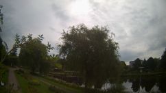 Rosarium Webcam