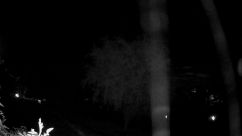 Rosarium Webcam