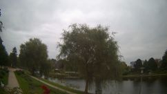 Rosarium Webcam