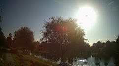 Rosarium Webcam